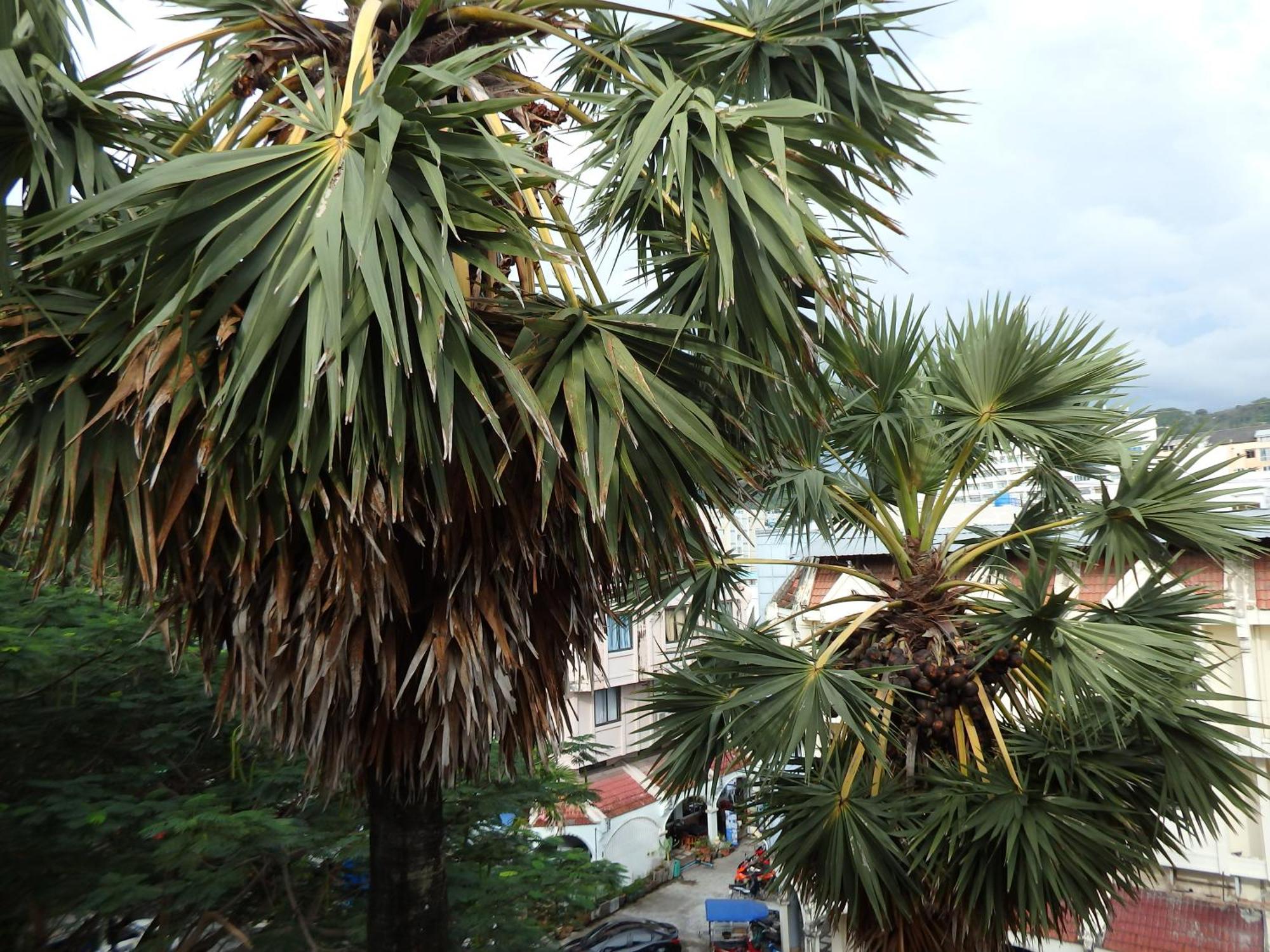 Boomerang Inn Phuket Exterior photo